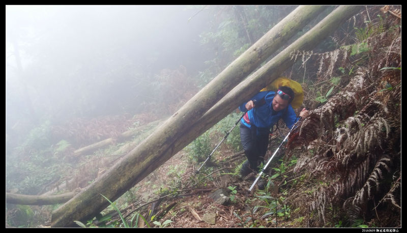 20160609云雨起微山,牛粪荆棘路(1/2) 20160609云雨起微山29 - 20160609云雨起微山,牛粪荆棘路(1/2)
