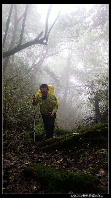 20160609云雨起微山,牛粪荆棘路(1/2) 20160609云雨起微山39 451x800 - 20160609云雨起微山,牛粪荆棘路(1/2)
