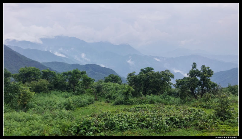 20160609云雨起微山,牛粪荆棘路(1/2) 20160609云雨起微山42 - 20160609云雨起微山,牛粪荆棘路(1/2)