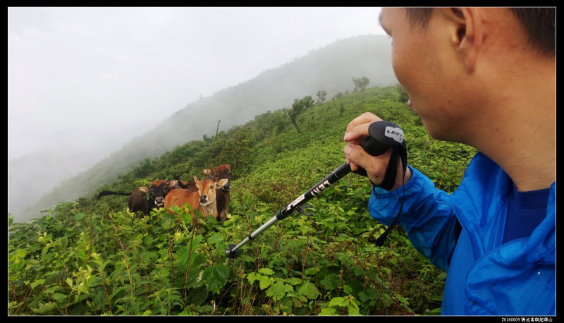 20160609云雨起微山,牛粪荆棘路(1/2) 20160609云雨起微山44 - 20160609云雨起微山,牛粪荆棘路(1/2)