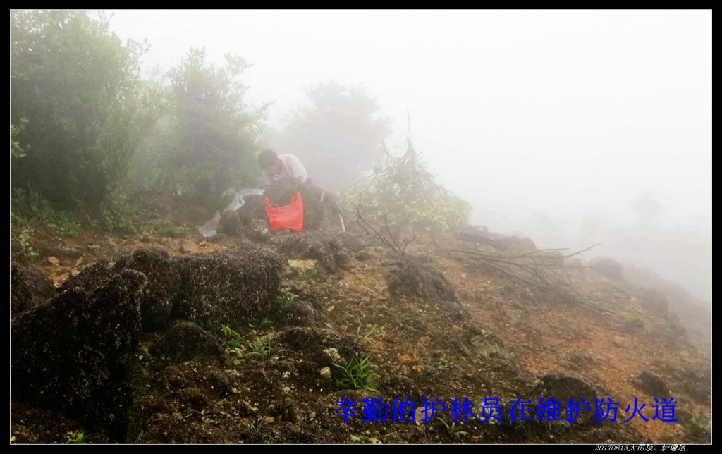 20170813粤西第一峰大田顶、第二峰炉塘顶 05 1024x644 - 20170813粤西第一峰大田顶、第二峰炉塘顶
