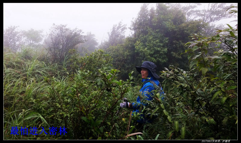 20170813粤西第一峰大田顶、第二峰炉塘顶 14 - 20170813粤西第一峰大田顶、第二峰炉塘顶