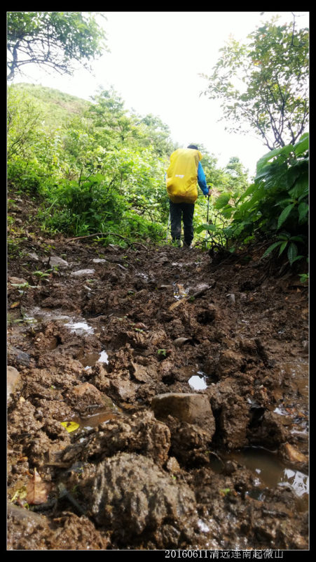 20160610云雨起微山,牛粪荆棘路(2/2) 20160610云雨起微山02 451x800 - 20160610云雨起微山,牛粪荆棘路(2/2)