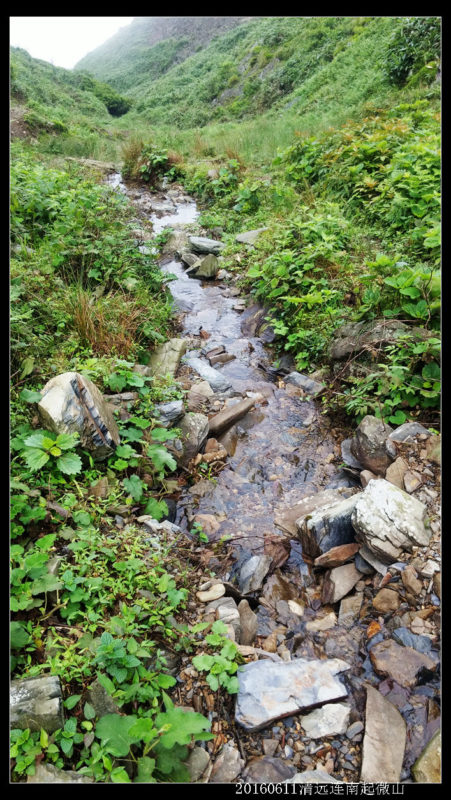 20160610云雨起微山,牛粪荆棘路(2/2) 20160610云雨起微山04 451x800 - 20160610云雨起微山,牛粪荆棘路(2/2)