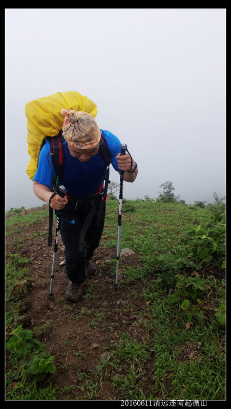 20160610云雨起微山,牛粪荆棘路(2/2) 20160610云雨起微山07 451x800 - 20160610云雨起微山,牛粪荆棘路(2/2)