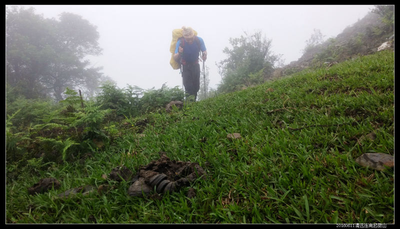 20160610云雨起微山,牛粪荆棘路(2/2) 20160610云雨起微山10 - 20160610云雨起微山,牛粪荆棘路(2/2)