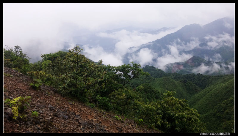 20160610云雨起微山,牛粪荆棘路(2/2) 20160610云雨起微山12 - 20160610云雨起微山,牛粪荆棘路(2/2)