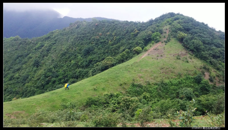 20160610云雨起微山,牛粪荆棘路(2/2) 20160610云雨起微山16 - 20160610云雨起微山,牛粪荆棘路(2/2)