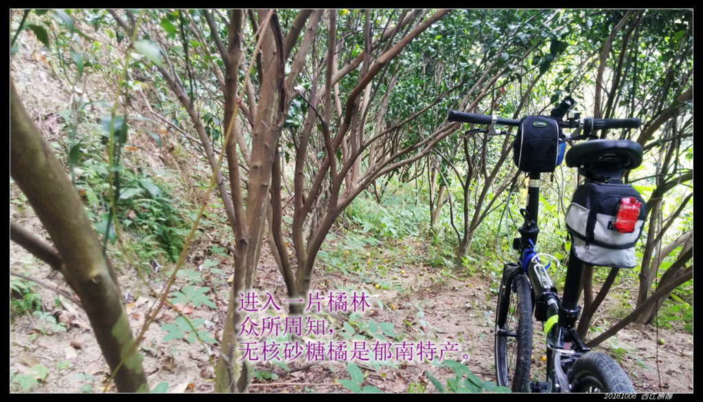 20161006西江溯源骑行 20161006西江溯源18 1024x586 - 20161006西江溯源骑行